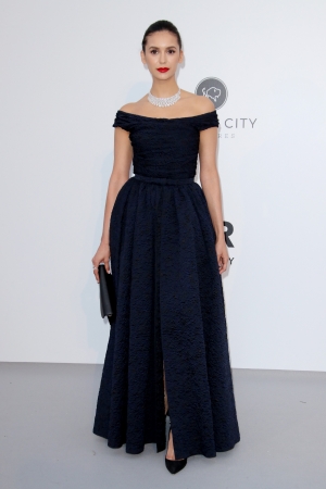 amfAR067.jpg