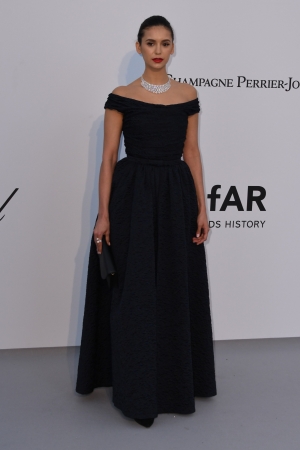 amfAR077.jpg