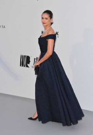 amfAR17.jpg
