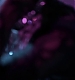 0002.jpg