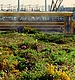 HOLLYWOOD_080.JPG