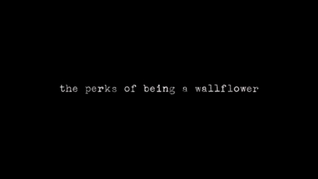 PERKS_000.JPG