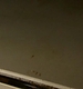 NEVER_882.JPG
