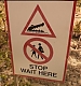 FALLON0065.jpg
