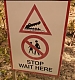 FALLON0066.jpg