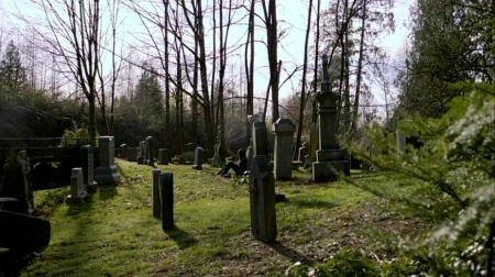 TVD_181.JPG