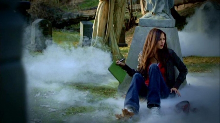 TVD_205.JPG