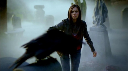 TVD_209.JPG