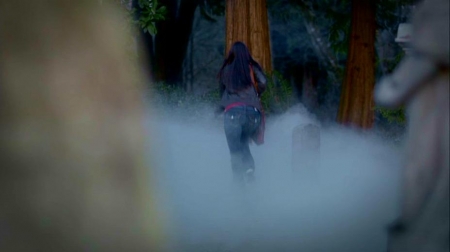 TVD_219.JPG