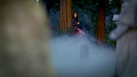 TVD_221.JPG