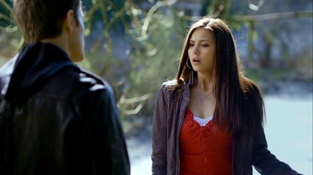 TVD_233.JPG