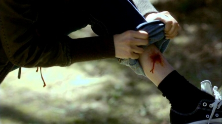 TVD_276.JPG