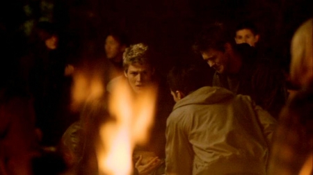 TVD_531.JPG
