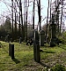 TVD_181.JPG
