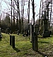 TVD_182.JPG