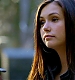 TVD_199.JPG