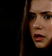 TVD_491.JPG