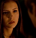 TVD_501.JPG