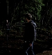 TVD_523.JPG