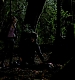 TVD_524.JPG