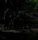 TVD_526.JPG