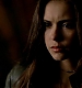 TVD_542.JPG