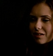 TVD_561.JPG