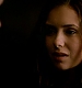 TVD_562.JPG