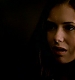 TVD_565.JPG
