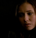TVD_569.JPG