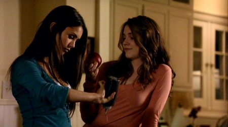 TVD_219.JPG