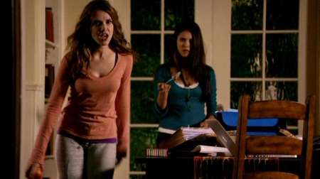 TVD_224.JPG