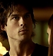 TVD_176.JPG