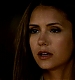 TVD_260.JPG