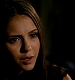 TVD_431.JPG
