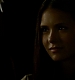 TVD_511.JPG