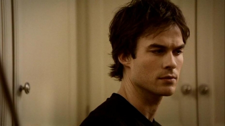 TVD_330.JPG