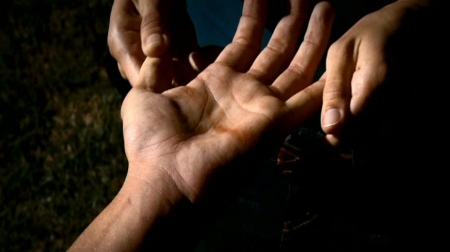 TVD_505.JPG