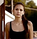 TVD_184.JPG