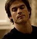 TVD_361.JPG