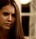 TVD_374.JPG