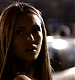 TVD_515.JPG