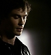 TVD_550.JPG