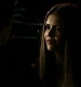 TVD_560.JPG