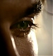 TVD_583.JPG