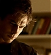 TVD_638.JPG