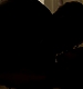 TVD_090.JPG