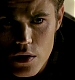 TVD_097.JPG