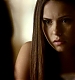 TVD_160.JPG