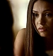 TVD_164.JPG